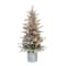 4.5ft. Pre-Lit Flocked Arctic Fir Artificial Christmas Tree, Clear Lights